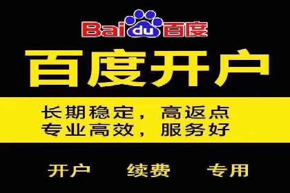 百度竞价广告投放案例剖析